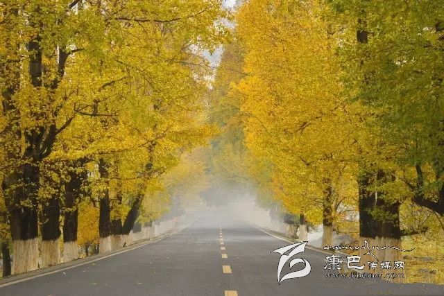 康定新都橋，有一條黃金大道通往夢(mèng)中的天堂