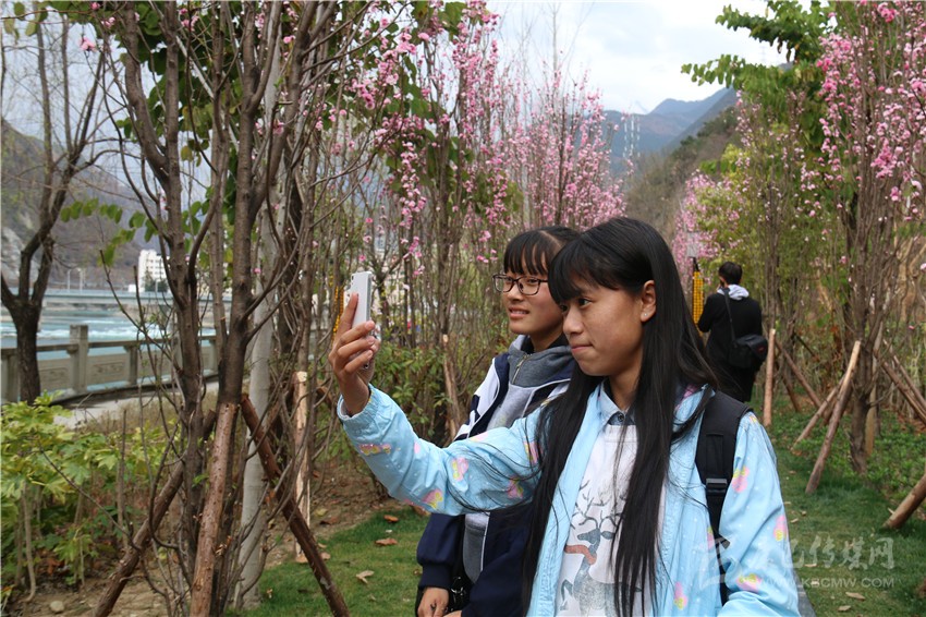 春光俏！“醉”是瀘定春三月，踏青賞花正當(dāng)時(shí)
