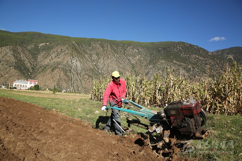 田園藏鄉(xiāng)美如畫，百姓脫貧喜在心