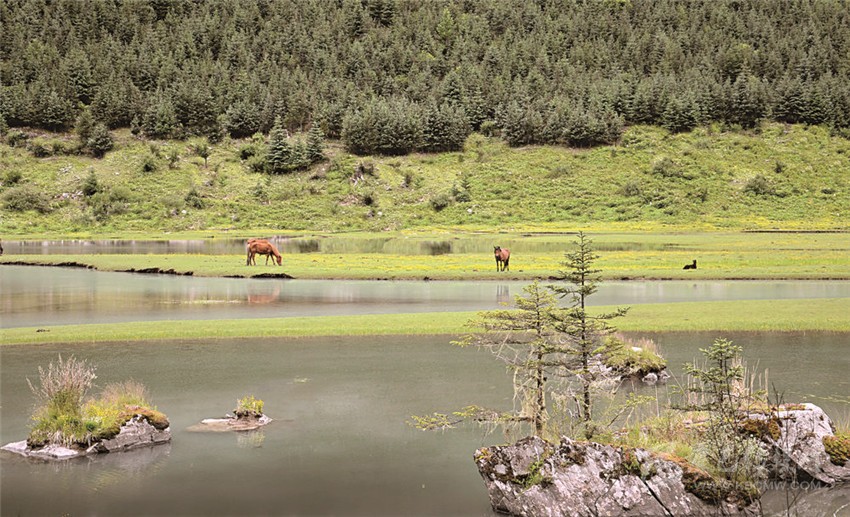 去甘孜 邂逅絕美湖泊海子！