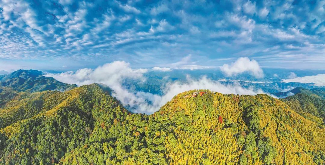 　三明森林生態(tài)環(huán)境優(yōu)美。